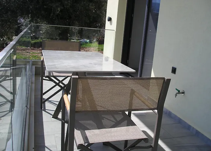 Golden * 克里斯阿穆迪亚