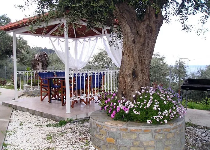 Golden 克里斯阿穆迪亚